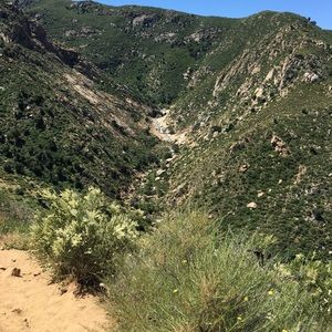 Meet your Posher, Carlos